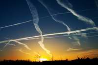 Crowded Skies